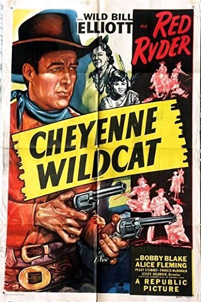 Cheyenne Wildcat (1944) afişi Cheyenne Wildcat (1944) afişi