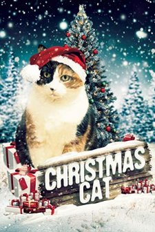 Christmas Cat