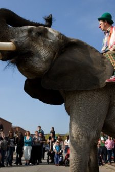 Çocuk Ve Palyaço (2012) afişi