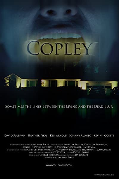Copley: An American Fairytale (2008) afişi Copley: An American Fairytale (2008) afişi