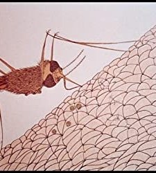 Cosmic Zoom (1968) afişi