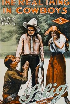 Cupid In The Cow Camp (1913) afişi
