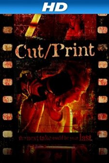Cut/Print (2012) afişi