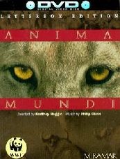 Dünyanın Ruhu (1992) afişi