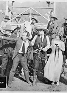 Daring Chances (1924) afişi