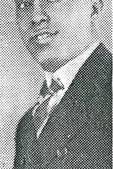 Darktown Revue (1931) afişi