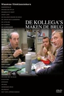 De Kollega's Maken De Brug