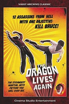 Deadly Hands Of Kung Fu (1977) afişi