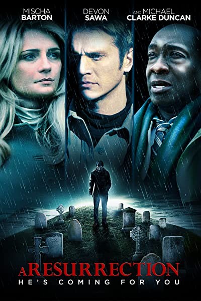 Diriliş (2013) afişi Diriliş (2013) afişi