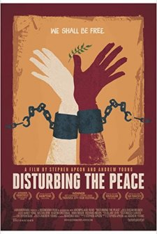 Disturbing the Peace (2016) afişi