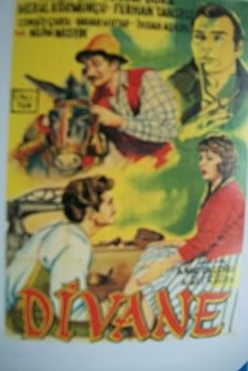 Divane (1960) afişi