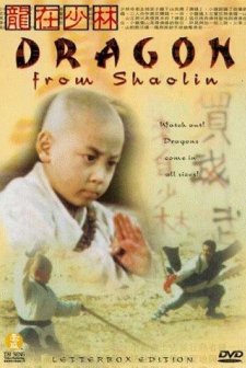 Dragon From Shaolin (1996) afişi