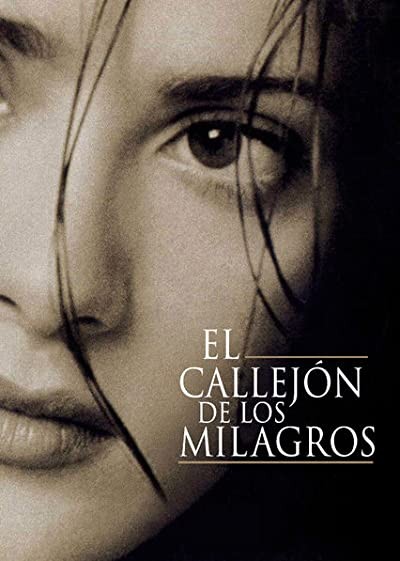 El Callejón De Los Milagros (1995) afişi El Callejón De Los Milagros (1995) afişi