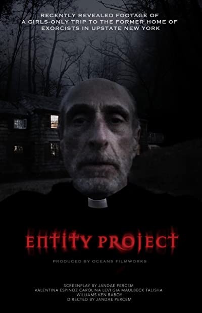 Entity Project (2019) afişi Entity Project (2019) afişi