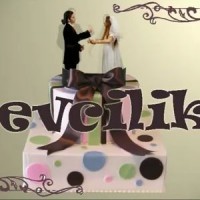 Evcilik afişi Evcilik afişi