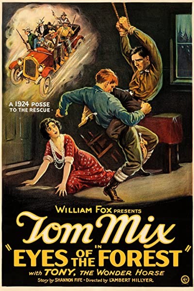 Eyes Of The Forest (1923) afişi Eyes Of The Forest (1923) afişi