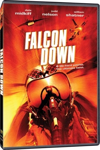 Falcon Down (2001) afişi Falcon Down (2001) afişi