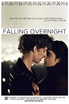 Falling Overnight (2011) afişi
