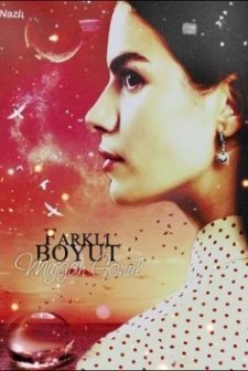 Farklı Boyut (2011) afişi