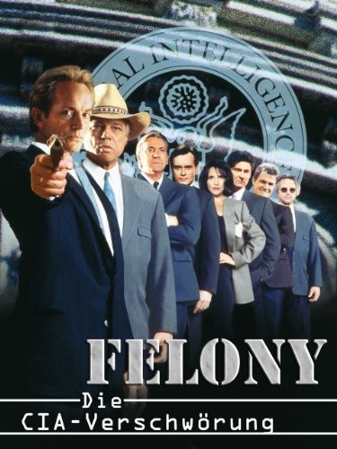 Felony (1994) afişi Felony (1994) afişi