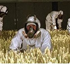 Fields Of Gold (2002) afişi