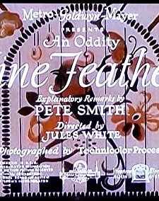 Fine Feathers (1933) afişi