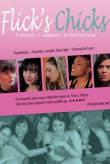 Flick's Chicks (2010) afişi
