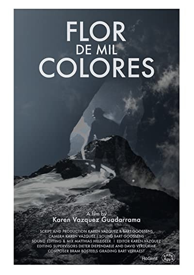 Flor de Mil Colores (2016) afişi Flor de Mil Colores (2016) afişi