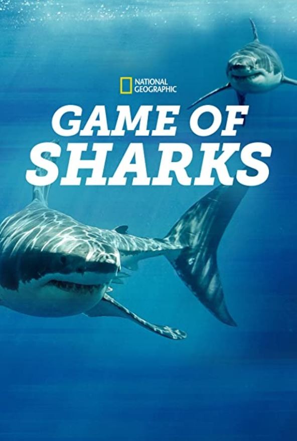 Game of Sharks