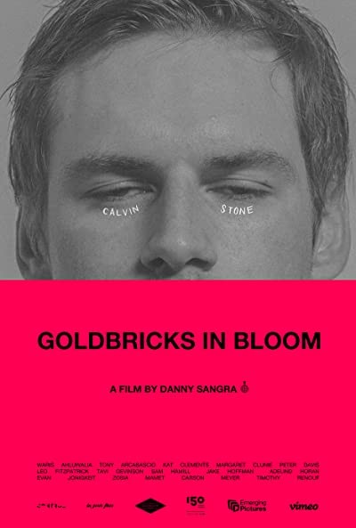 Goldbricks in Bloom (2016) afişi Goldbricks in Bloom (2016) afişi