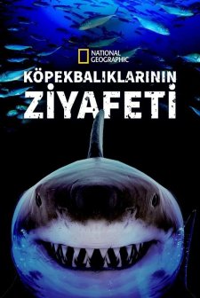 Great Shark Chow Down (2019) afişi