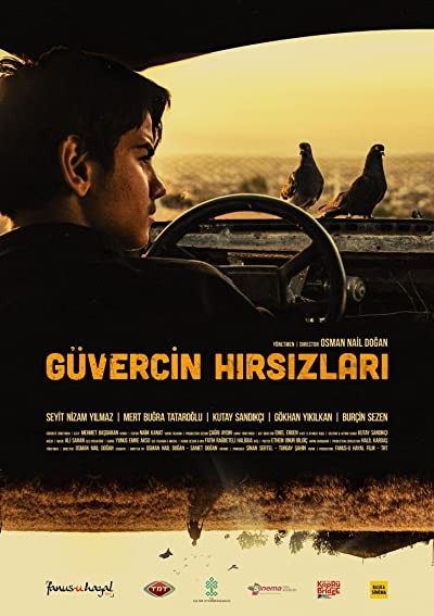 Güvercin Hırsızları (2018) afişi