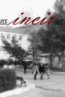 Hastane Önünde İncir Ağacı (2004) afişi