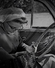 Have You Ever Wondered?