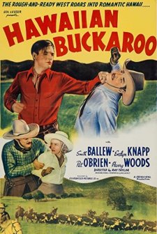 Hawaiian Buckaroo (1938) afişi