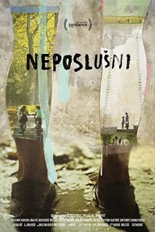 Haylaz (2014) afişi