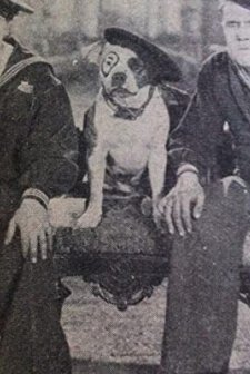 Hello Sailor (1927) afişi