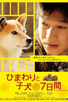 Himawari ve Yavrularının 7 Günü (2012) afişi