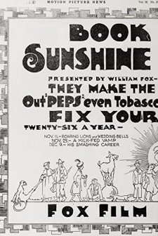 His Smashing Career (1917) afişi