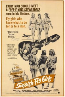 İsveçli Kızlar (1971) afişi