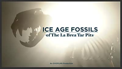 Ice Age Fossils Of The La Brea Tar Pits (2004) afişi Ice Age Fossils Of The La Brea Tar Pits (2004) afişi