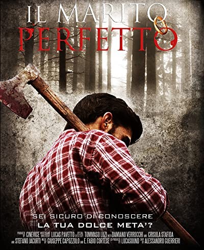 Il Marito Perfetto (2011) afişi Il Marito Perfetto (2011) afişi