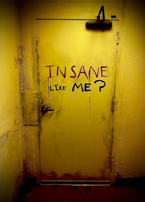 Insane Like Me? (2024) afişi Insane Like Me? (2024) afişi