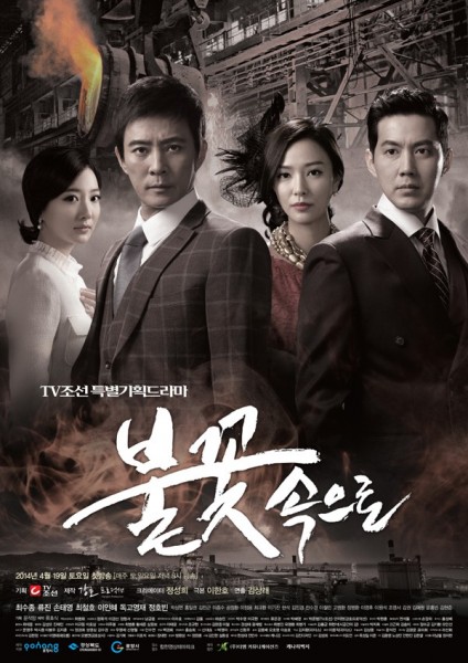 Into the Flames (2014) afişi Into the Flames (2014) afişi