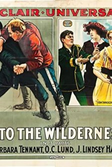 ınto The Wilderness (1914) afişi