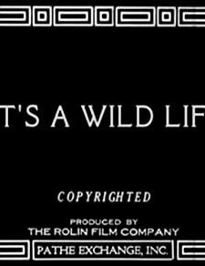 ıt's A Wild Life (1918) afişi