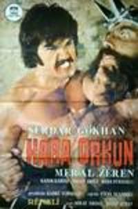 Kara Orkun (1973) afişi Kara Orkun (1973) afişi
