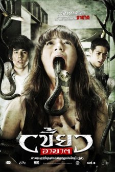 Kral Kobranın Intikamı (2010) afişi