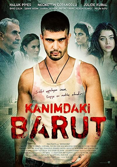 Kanımdaki Barut (2009) afişi Kanımdaki Barut (2009) afişi
