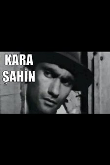 Kara Şahin (1964) afişi